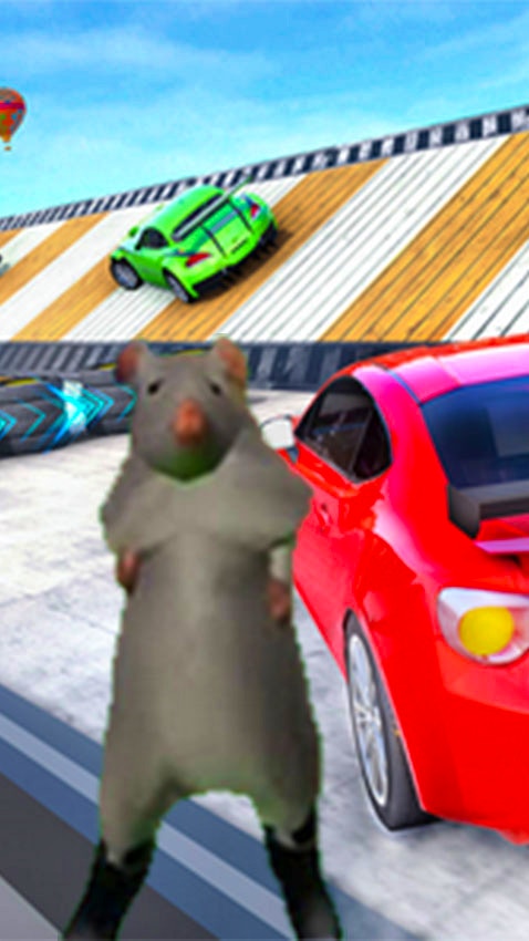 Rato Milton Extreme Ramp Stunts