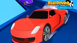 Real Driving Simulator