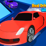 Real Driving Simulator