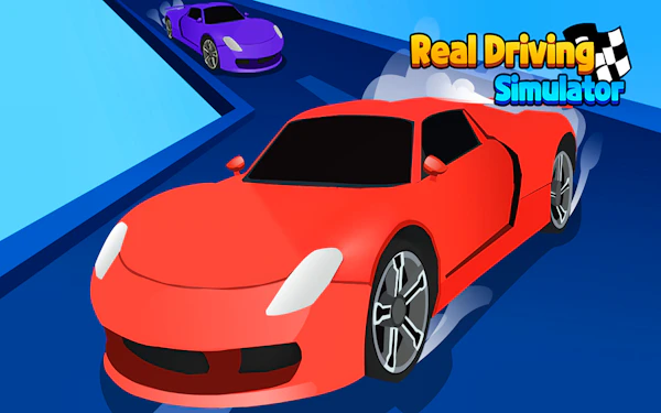 Real Driving Simulator