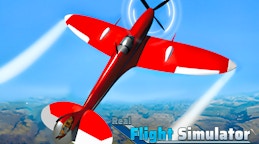 Real Flight Simulator