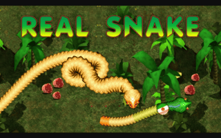 Real Snakes game cover