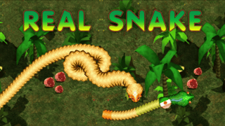 Real Snakes