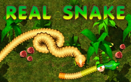 Real Snakes 🕹️ Play Now on GamePix