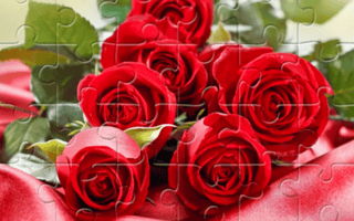 Red Roses Puzzle game cover