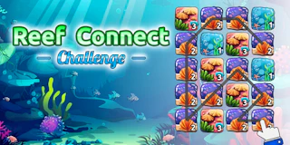 Reef Connect Challenge thumbnail