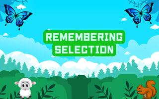 Remembering Selection game cover