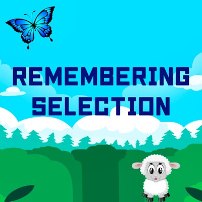 Remembering Selection By Gamepix