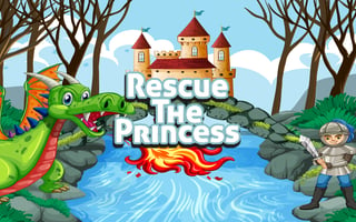 Rescue Princess Game