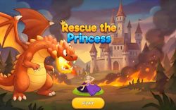 Rescue The Princess