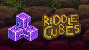 Image for Riddle Cubes