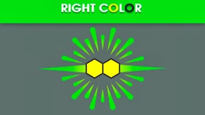 Image for Right Color