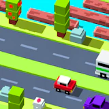 Road Crosser