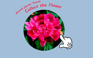 Round Jigsaw Puzzle - Collect The Flower game cover