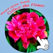 Round jigsaw Puzzle - Collect the Flower