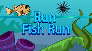 Image for Run Fish Run