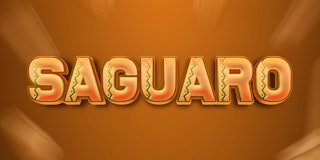 Saguaro thumbnail