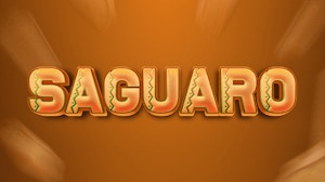 Image for Saguaro