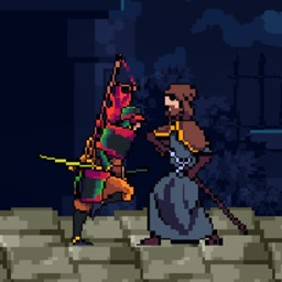 Samurai Warrior