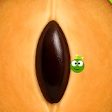 SapotaGo