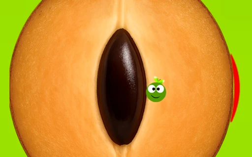 SapotaGo