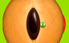 SapotaGo