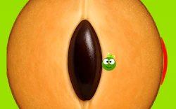 SapotaGo