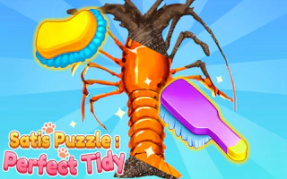SatisPuzzle Perfect Tidy