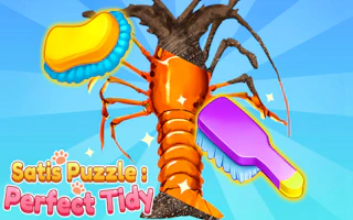 SatisPuzzle Perfect Tidy