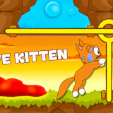 Save kitten