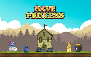 Save Princess