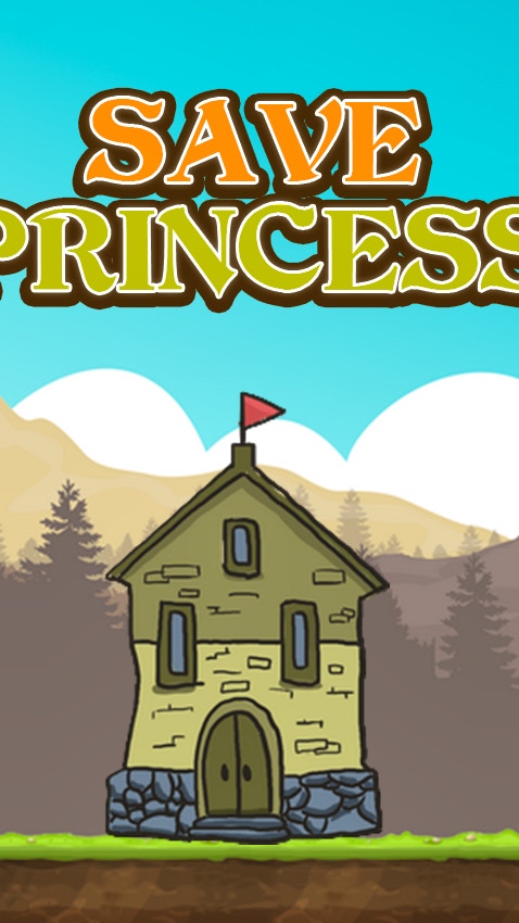 Save Princess