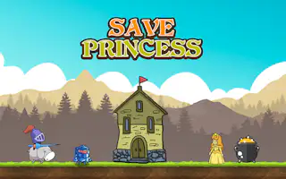 Save Princess