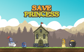 Save Princess game cover