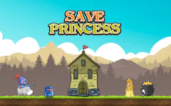 Save Princess