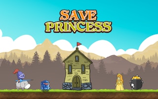 Save Princess game cover