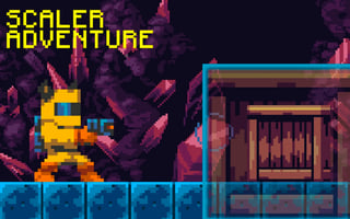 Scaler Adventure game cover