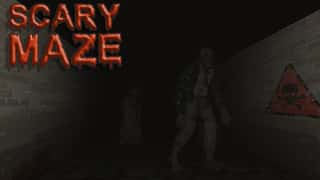 Scary Maze Game game cover