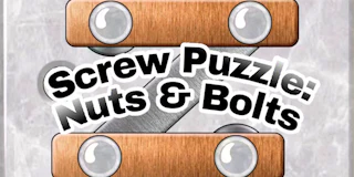 Screw Puzzle - Nuts and Bolts thumbnail