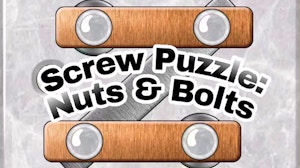 Image for Screw Puzzle - Nuts and Bolts