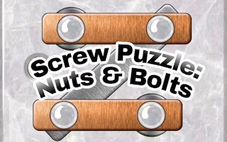 Screw Puzzle - Nuts And Bolts game cover