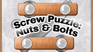 Screw Puzzle - Nuts and Bolts