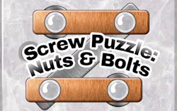 Screw Puzzle - Nuts and Bolts