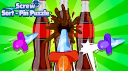 Screw Sort Pin Puzzle