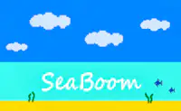 Морской бум