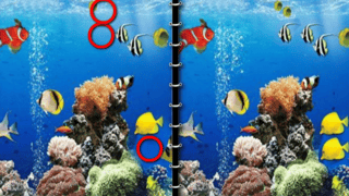 Sea Underwater Difference