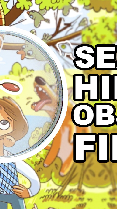 Search Hidden Objects Find It
