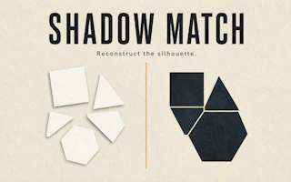 Shadow Match