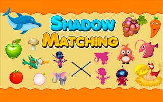 Shadow Matching