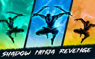 Shadow Ninja Revenge game cover